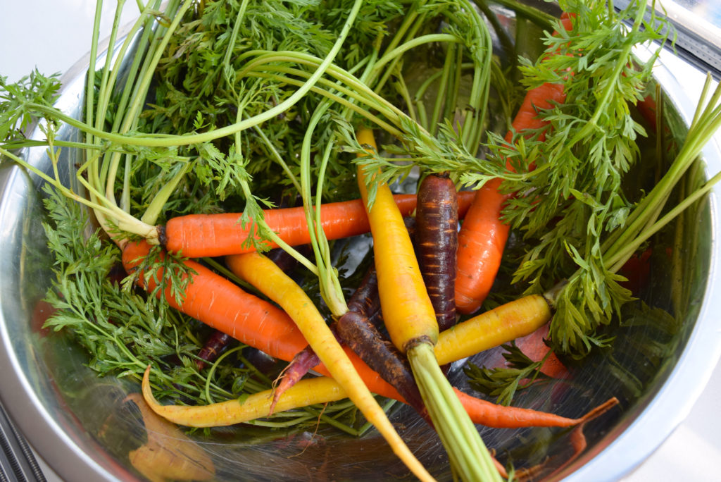 carrots-in-bowl