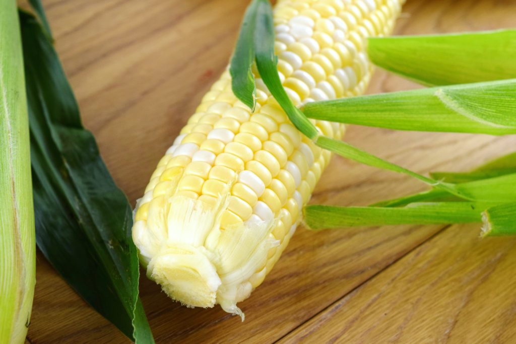 Husked Fresh Jersey Corn